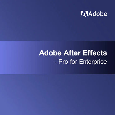 Adobe After Effects - Pro for Enterprise